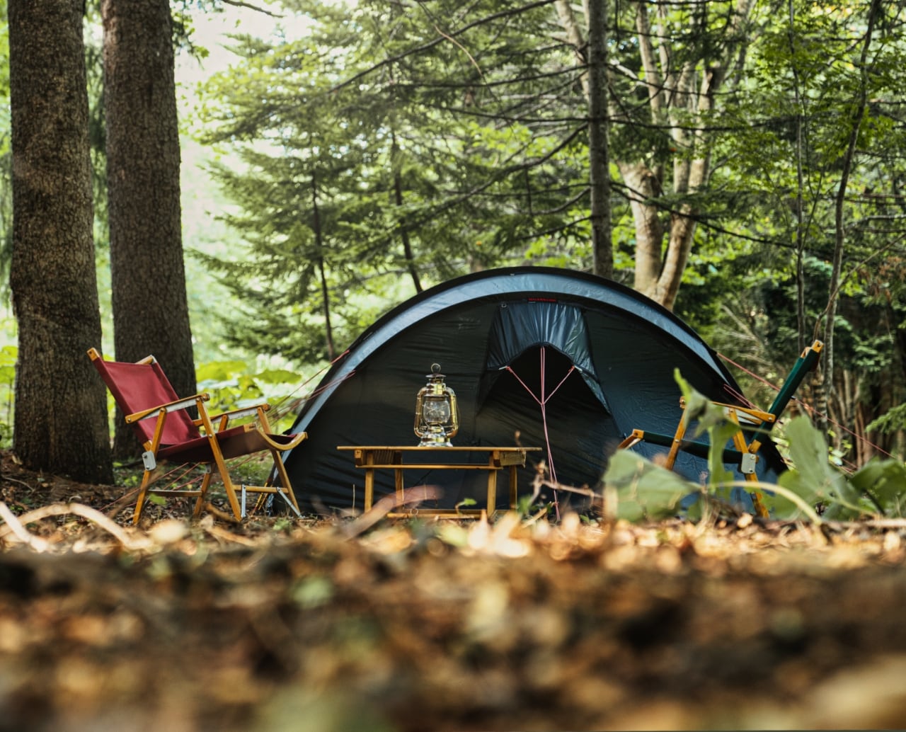 FOREST TENT SITE